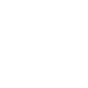 activity Icon
