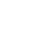 train Icon